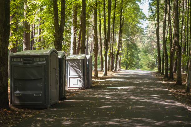 Reliable Bernalillo, NM porta potty rental Solutions